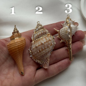 Подвеска "Ракушка", большая