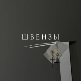 Швензы